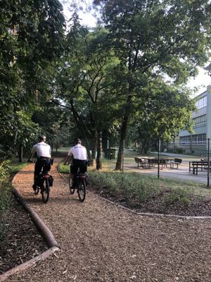 policjanci na rowerach jada przez park