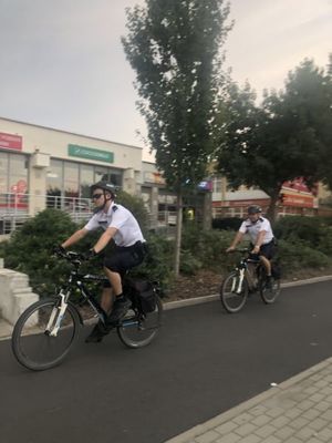 policjanci na rowerach jadą po drodze rowerowej