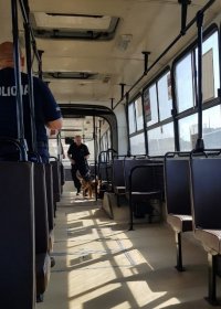 Przewodnik z psem przeszukuje autobus