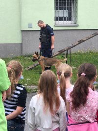 Przewodnik prezentuje psa policyjnego