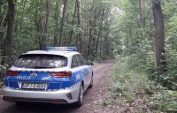 Policyjny radiowóz w lesie
