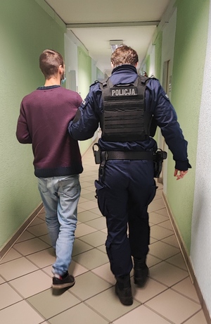 policjanci zlikwidowali plantację konopi