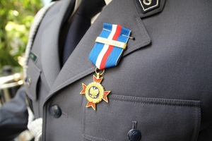 zdjęcie kolorowe - na nim funkcjonariusze policji
