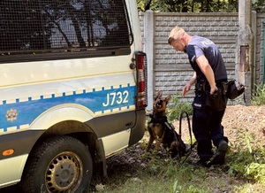 zdjęcie kolorowe - pies służbowy
