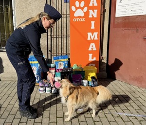 funkcjonariusze z darkami dla potrzebujących zwierząt